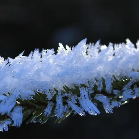 Διαμέρισμα Josef Pixner *