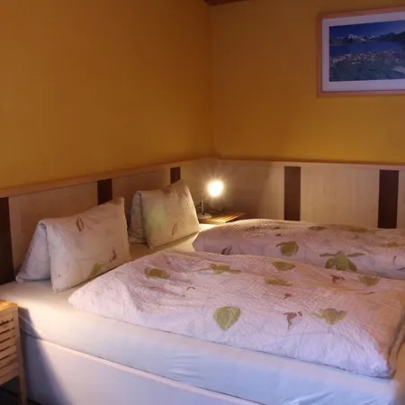 Josef Pixner * זולדן