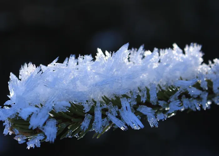 아파트 Josef Pixner *