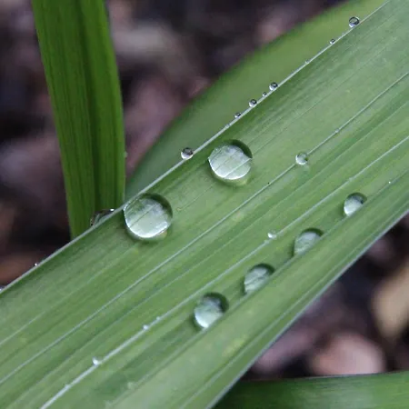 Apartment Josef Pixner