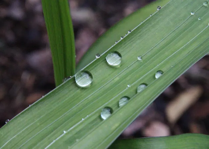 Апартаменти Josef Pixner